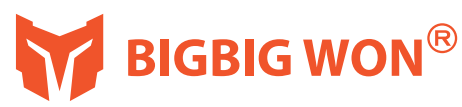 BIGBIG-WON-logo