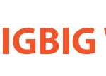 BIGBIG-WON-logo