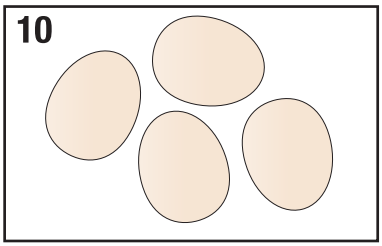 Eggpod-7071-Egg-Cooker-Microondas inalámbrico-fig-11