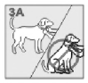 Características del collar de adiestramiento para perros Petrainer (13)